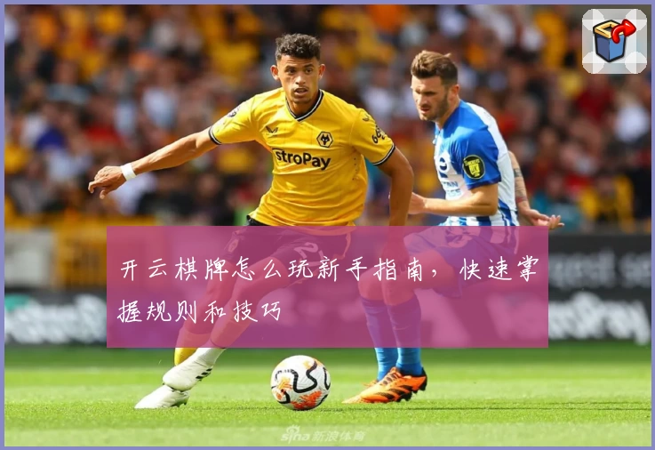 开云棋牌怎么玩新手指南，快速掌握规则和技巧