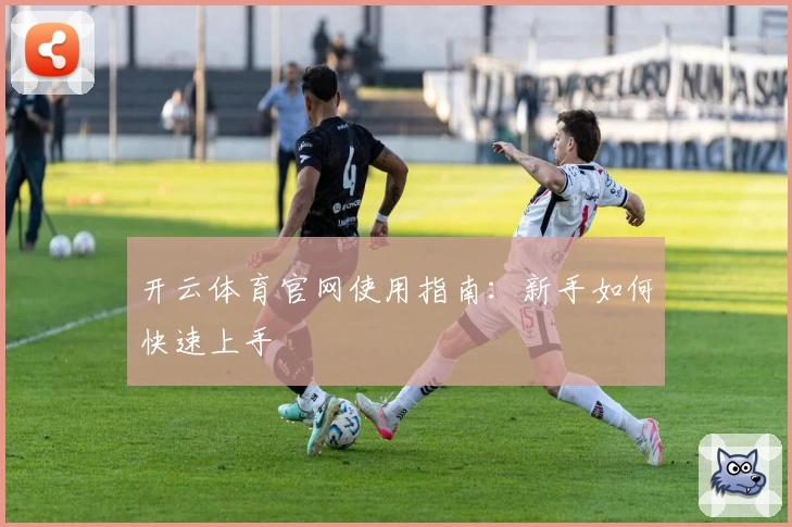 开云体育官网使用指南：新手如何快速上手